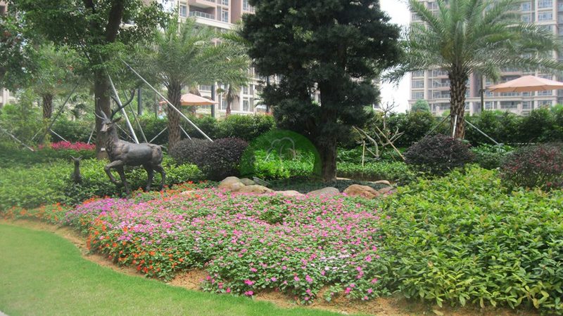 市政绿化植被成活率提升之道：关键技术与实践解析**