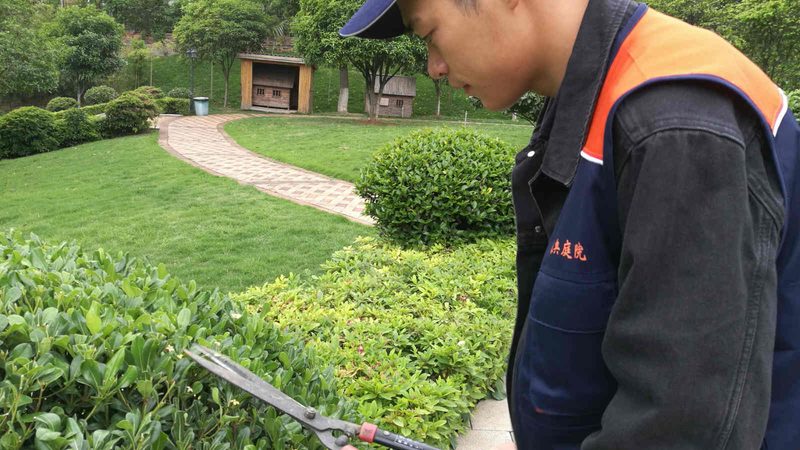 边坡绿化喷播植草，价格几何？揭秘影响成本的关键因素**