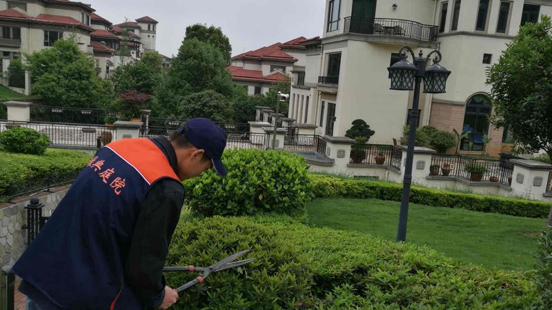 市政绿化与园林绿化：报价单的差异化解析