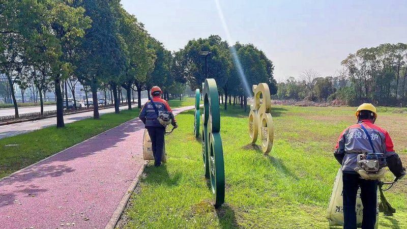 小区绿化树苗高度与米径：揭秘标准背后的秘密