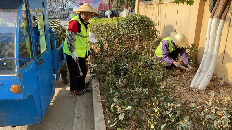 立体绿化墙尺寸规格全解析：打造绿色空间的关键**