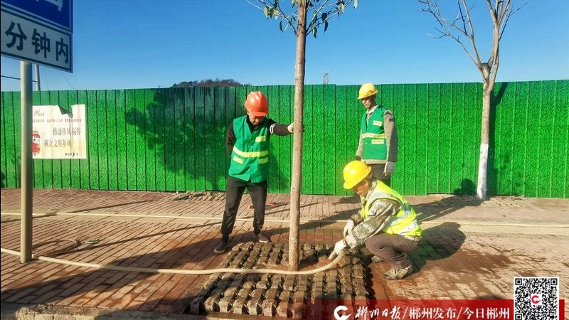 草坪修剪机滚刀式与旋刀式：选择与养护的考量