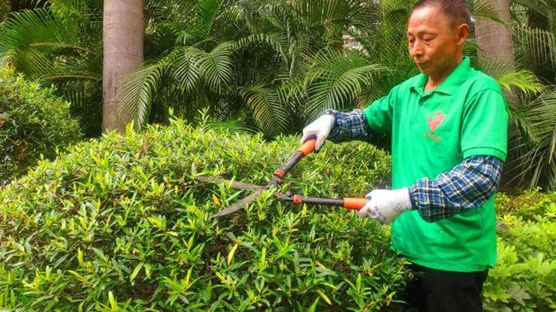 成都绿植租赁公司加盟，如何选择优质合作伙伴？**