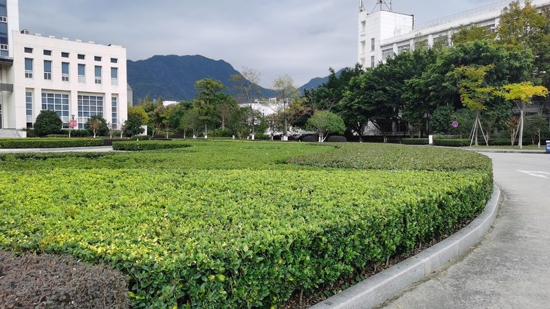 定制垂直绿化墙报价：揭秘成本构成与决策要点