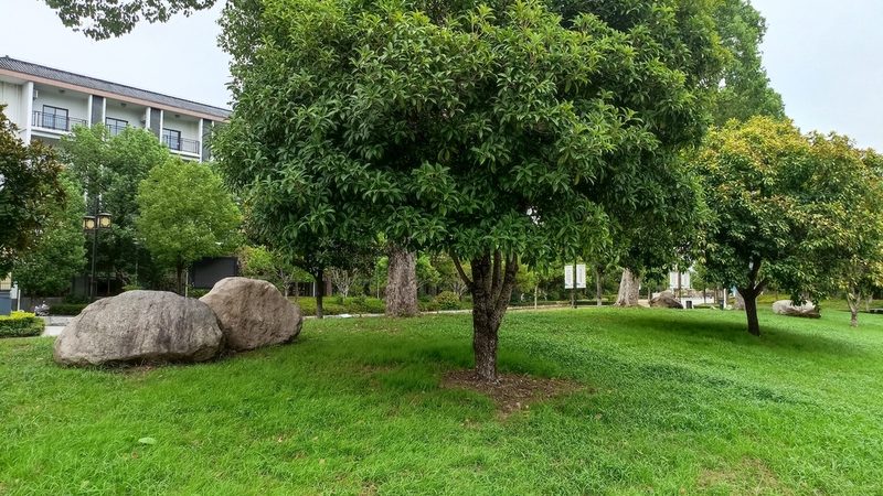 市政绿化工程公司报价单：揭秘报价背后的关键因素