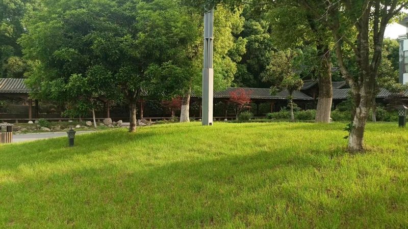 成都屋顶花园园林公司如何打造生态宜居空间**